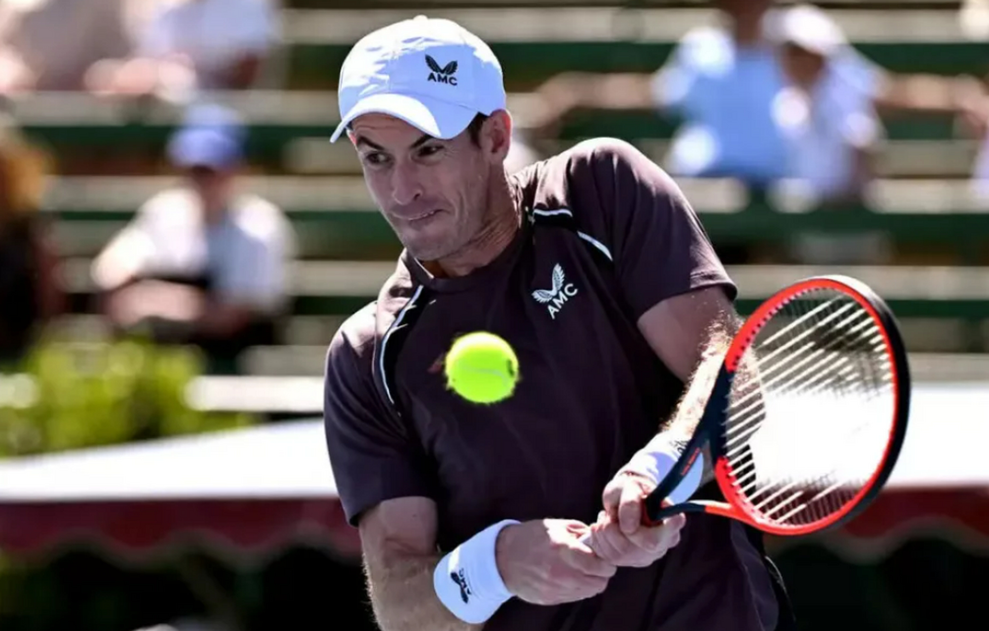 ATP总决赛逆转法网,穆雷刷新纪录 ATP总决赛逆转法网,穆雷刷新纪录