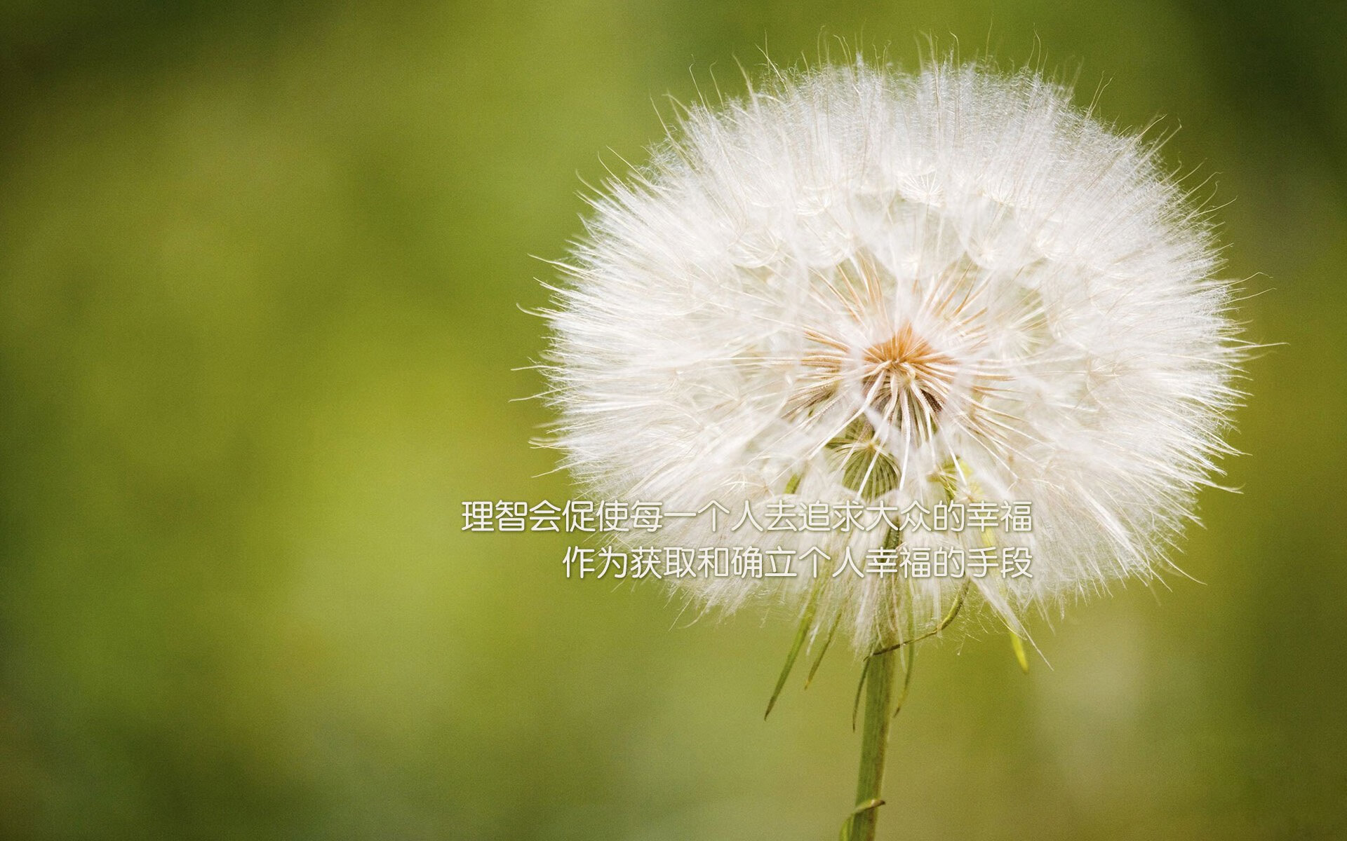 新大陆的足球宣言,当格纳布里在巴黎的夜晚绘下星条旗