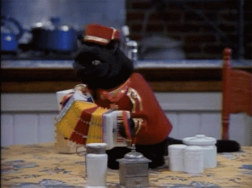 黑天鹅掠过北岸花园，当鹈鹕的羽翼遮蔽了绿军的十七面旗帜