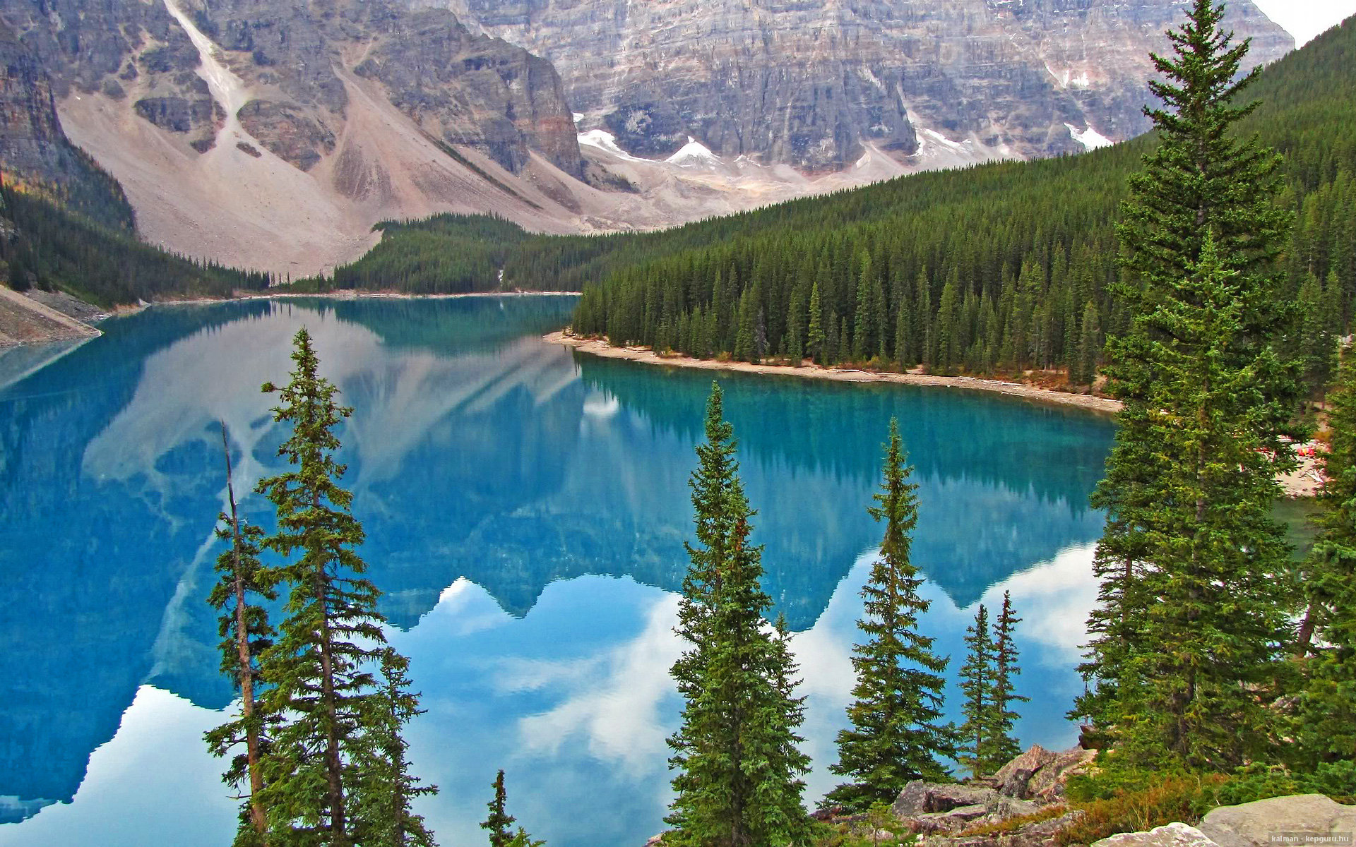 黑天鹅掠过北岸花园，当鹈鹕的羽翼遮蔽了绿军的十七面旗帜