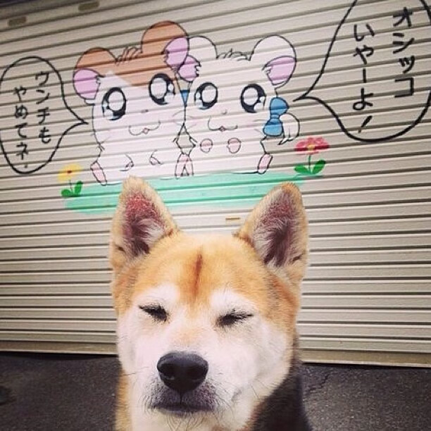 罚球线前的无声雷鸣，切特·霍姆格伦如何用一粒罚球击碎灰熊，改写76人命轨？