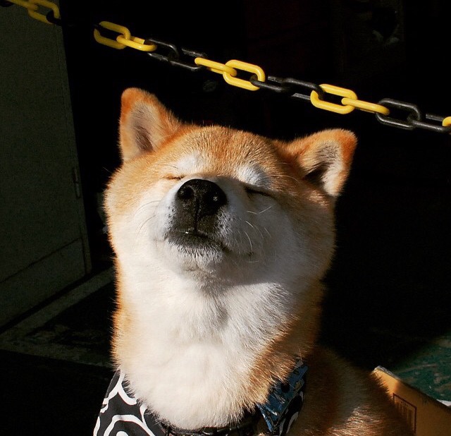 广厦精密齿轮压制雷霆引擎，英格拉姆孤星点燃寂静赛场