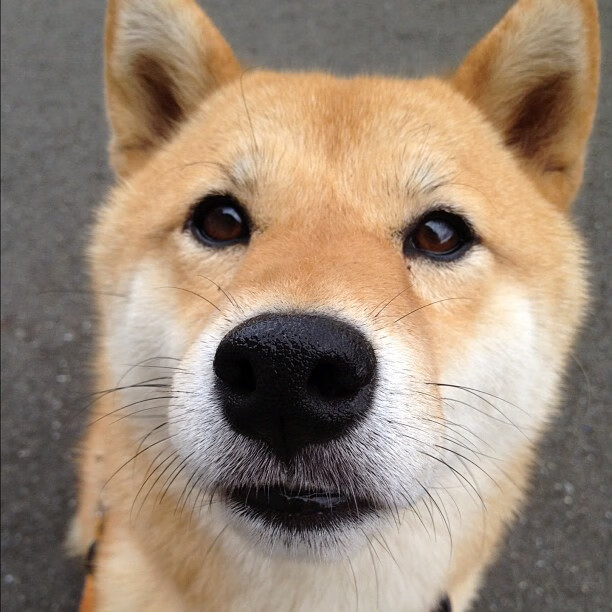 利刃出鞘,悬念尽碎—黄喜灿的欧冠半决赛之夜