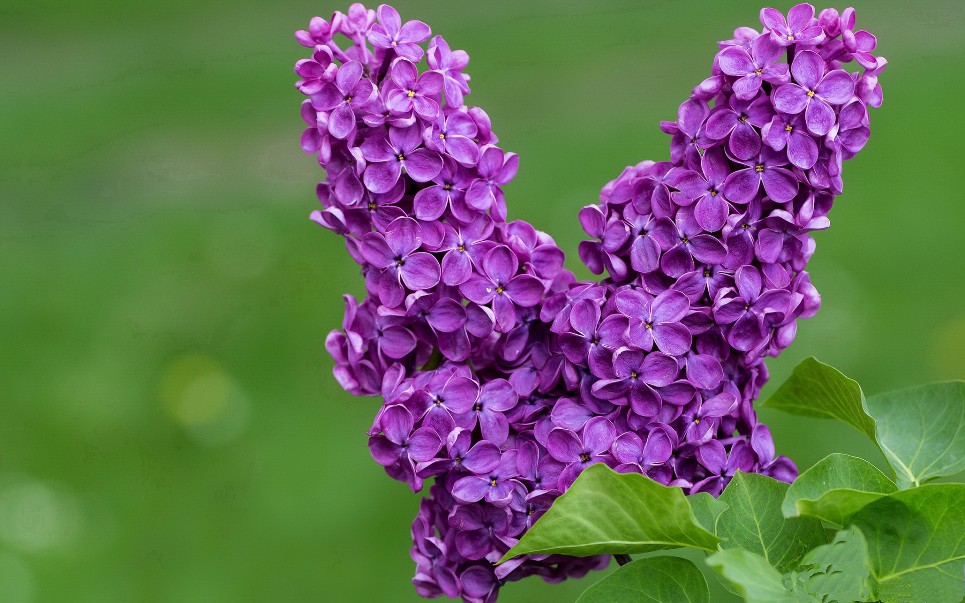 唯一性的对决,当比利时的战车,碾过比利亚雷亚尔的刀锋