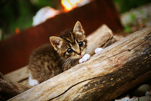 冰与火之战，当秘鲁式高空河流战术冻结波斯铁骑—记一场虚构的欧冠半决赛焦点战