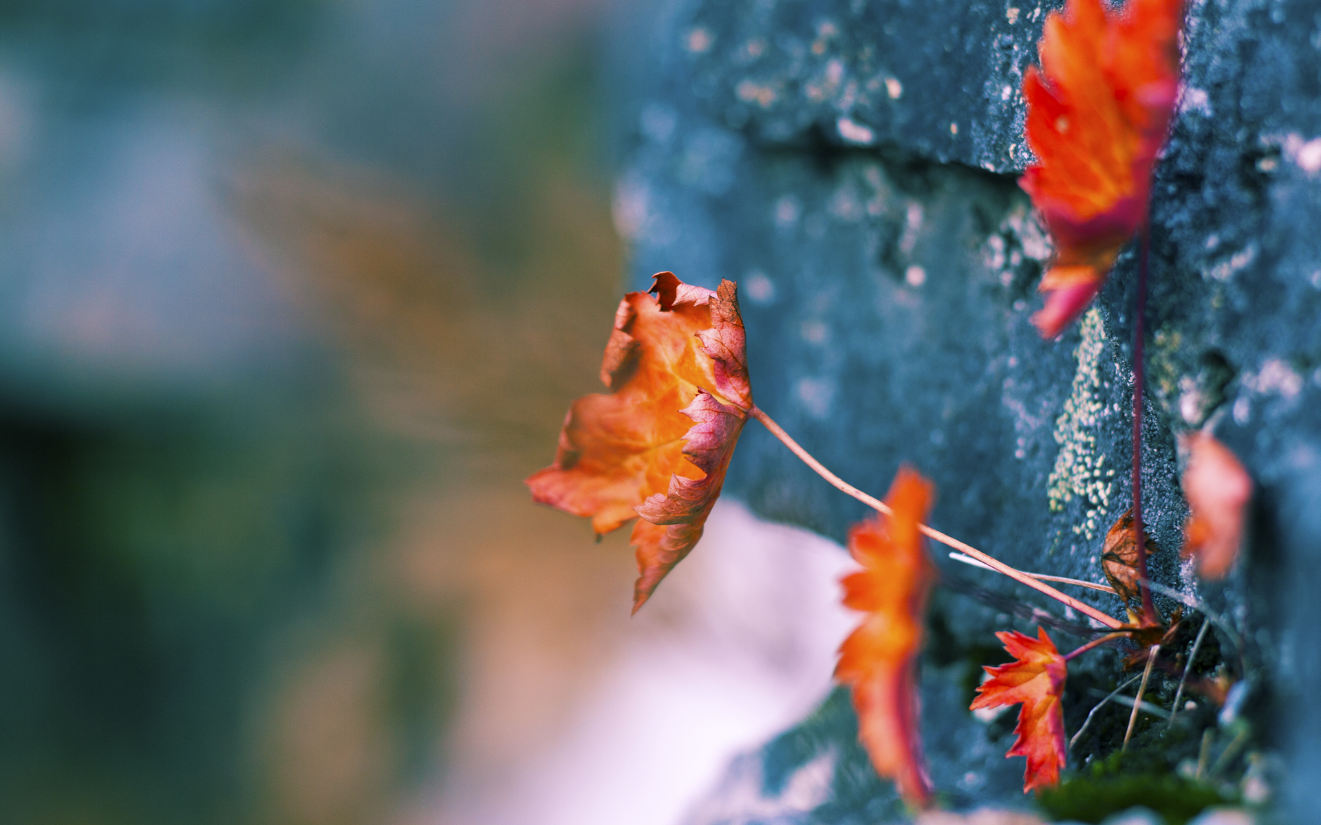 保罗,欧冠决赛之夜的攻防转换脉搏