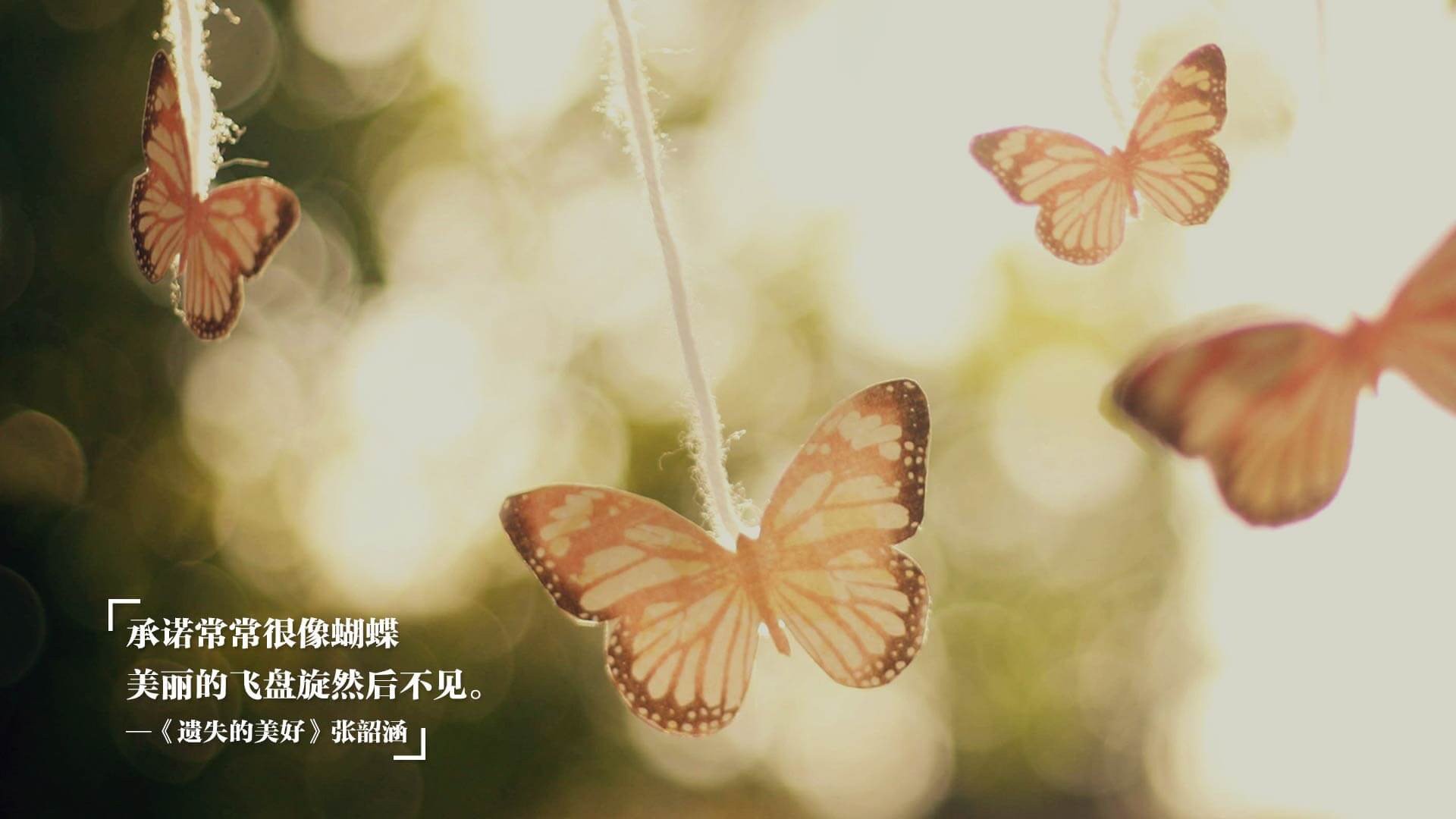 橙色雄狮绝境咆哮！阿克91分钟惊世一击，喀麦隆绝杀冰岛改写命运