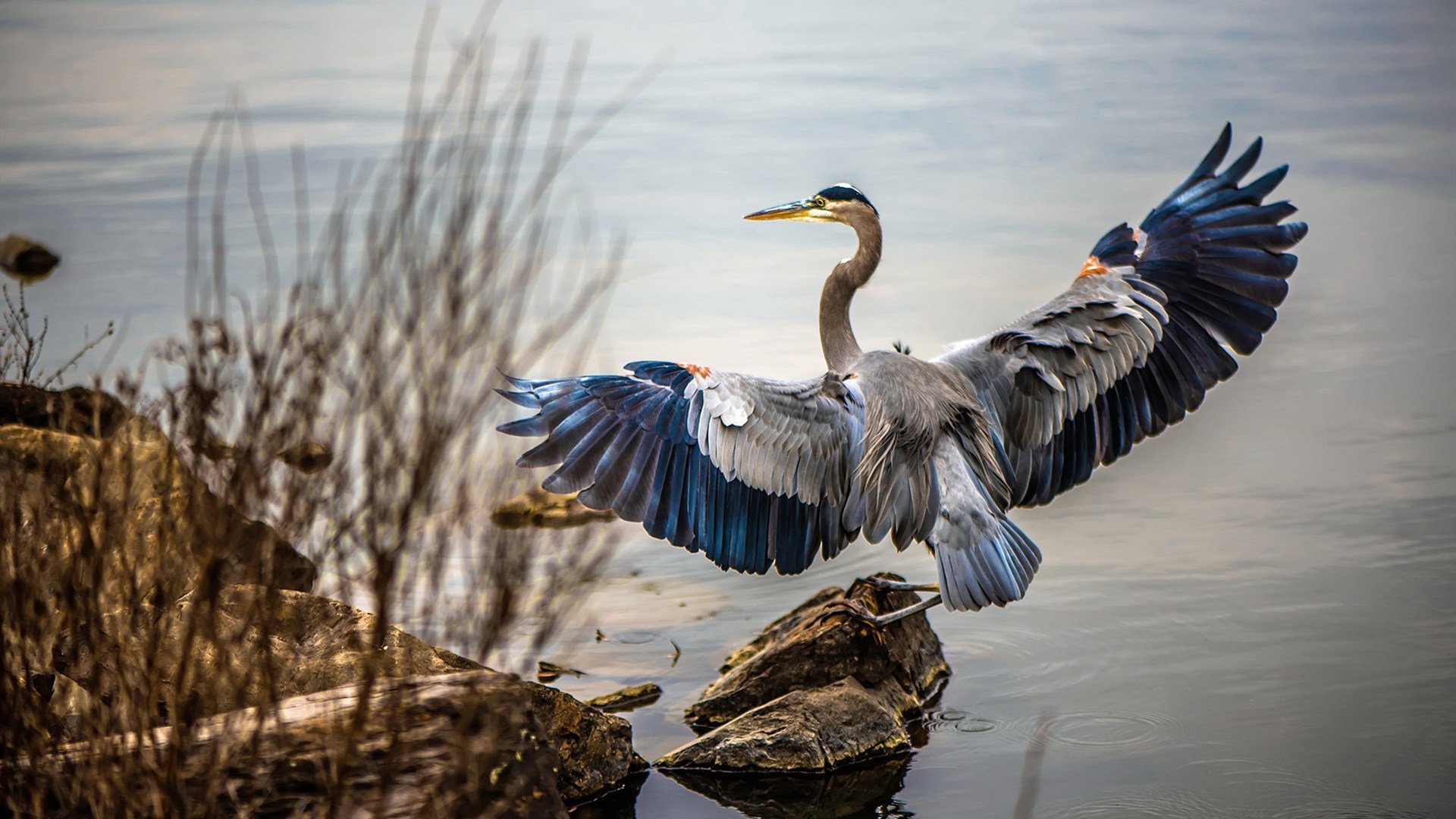 从伦敦到柏林,足球之夏的三重奏