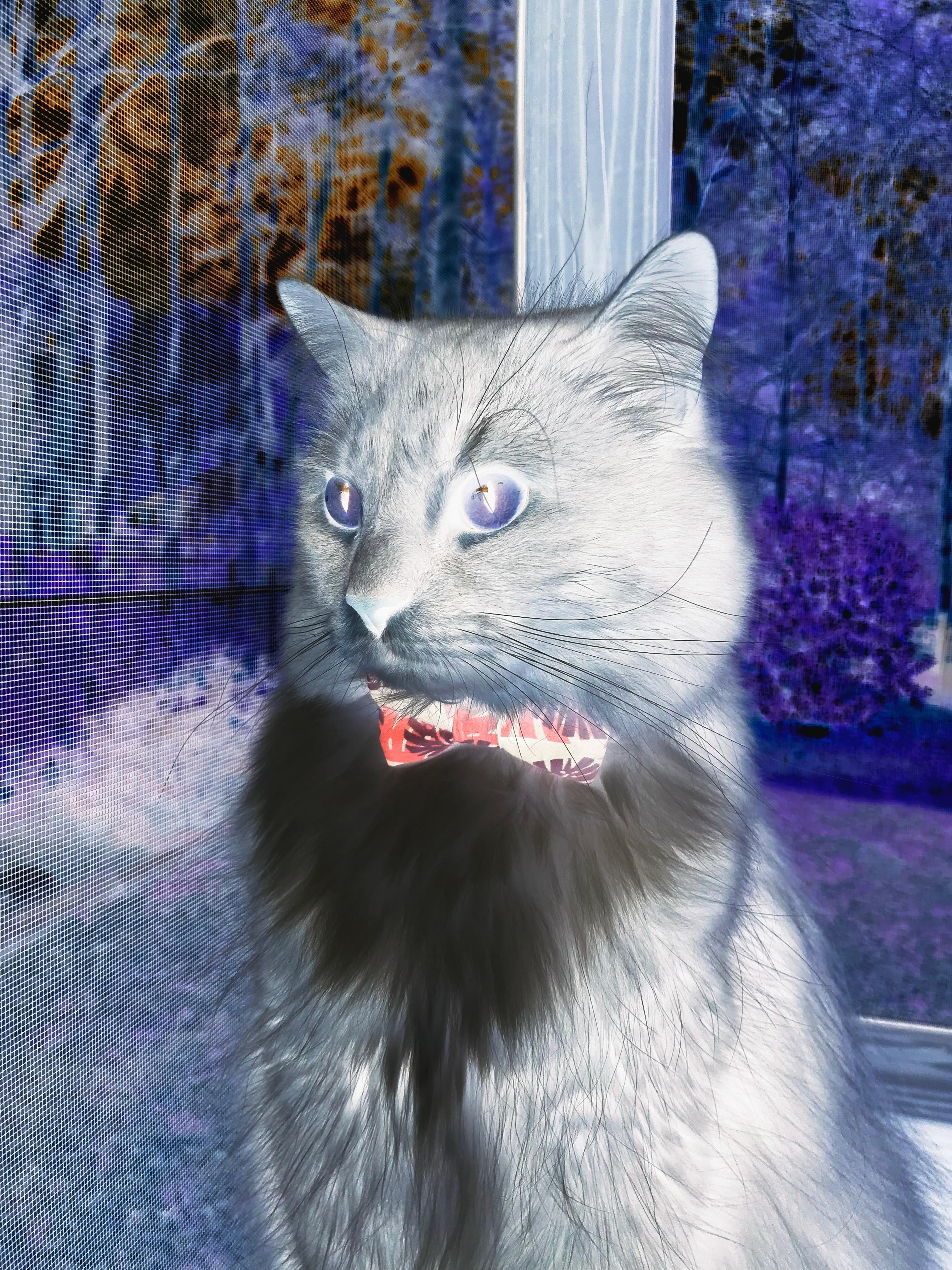 跨洋对决，当76人踏平深圳队，欧文竟成关键先生